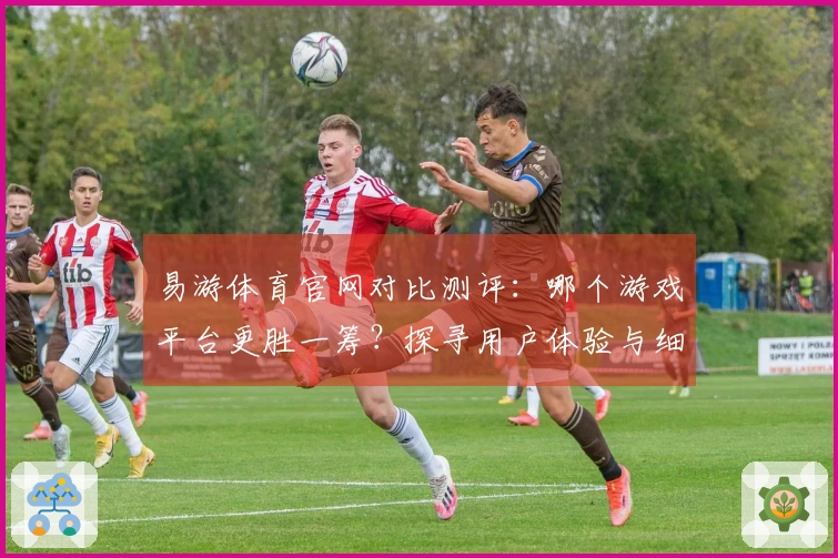 易游体育官网对比测评：哪个游戏平台更胜一筹？探寻用户体验与细节差异