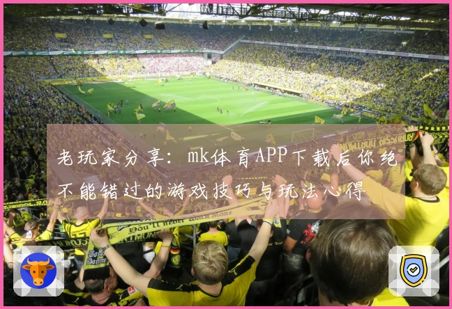 老玩家分享：mk体育APP下载后你绝不能错过的游戏技巧与玩法心得