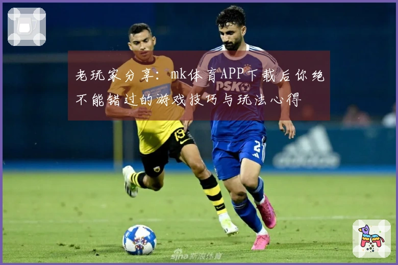 老玩家分享：mk体育APP下载后你绝不能错过的游戏技巧与玩法心得