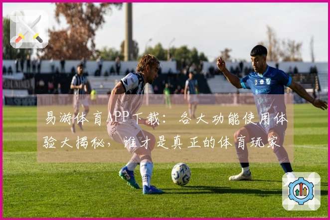 易游体育APP下载：各大功能使用体验大揭秘，谁才是真正的体育玩家首选？